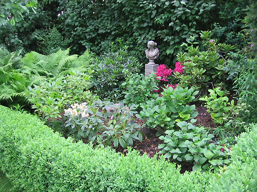 Rhododendronbeet nach der Neupflanzung