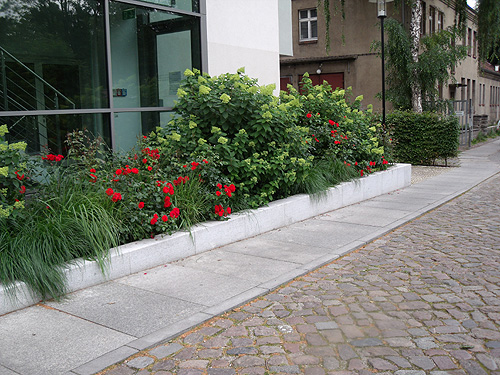 Grünflächenpflege Haus der Land- und Ernährungswirtschaft
