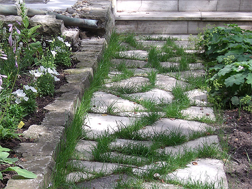 Weg aus Natursteinplatten