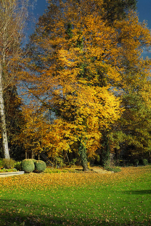 Herbststimmung Herbststimmung