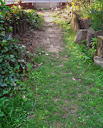 Zugewachsener Sandweg mit alten Holzpalisaden