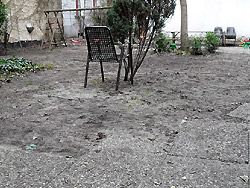 Innenhof: Hier wchst kein Gras mehr...
