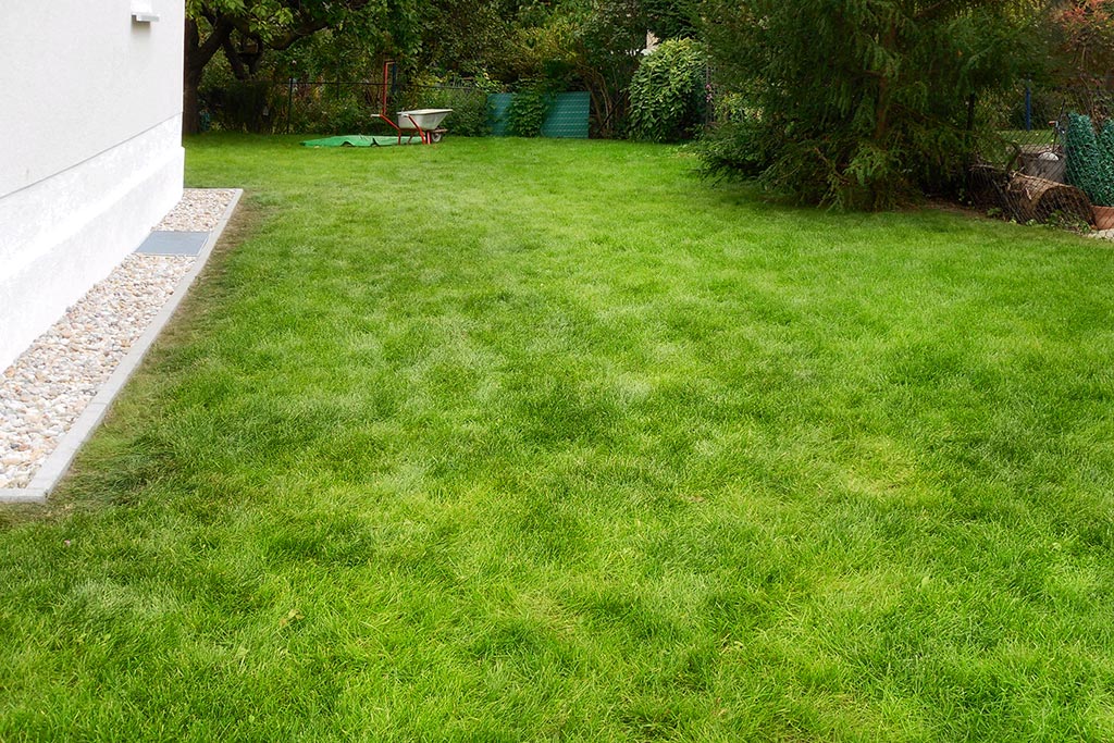 Gartenneuanlage nach Neubau - Frisch angelegte Rasenfläche