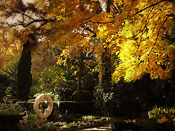 Jahreszeitliche Grabgestaltung - Herbst