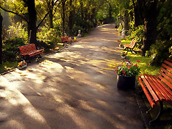 Friedhof Berlin-Grunewald