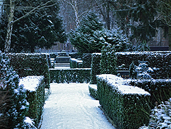 Winter-Impression