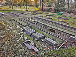 Ruhegemeinschaft Zentralfriedhof Friedrichsfelde - Blick von oben, Januar 2020