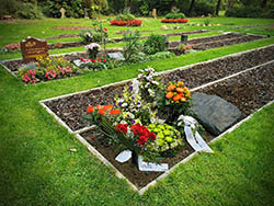 Ruhegemeinschaft Zentralfriedhof Friedrichsfelde - Beisetzung im Sommer 2020