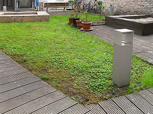 Schden im Rasen nach dem Winter