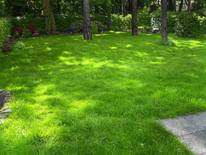 Erholter Rasen Mitte Juni