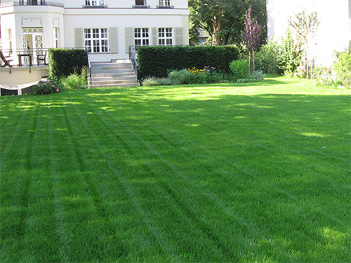 Neu angelegter Spielrasen