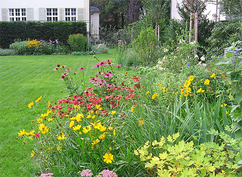 Neu angelegtes Staudenbeet im ersten Sommer