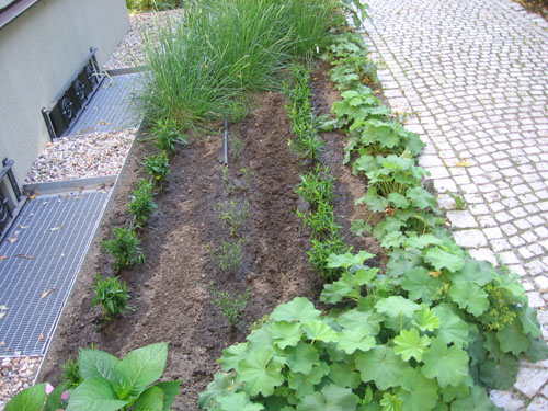 Frisch angelegtes Staudenbeet