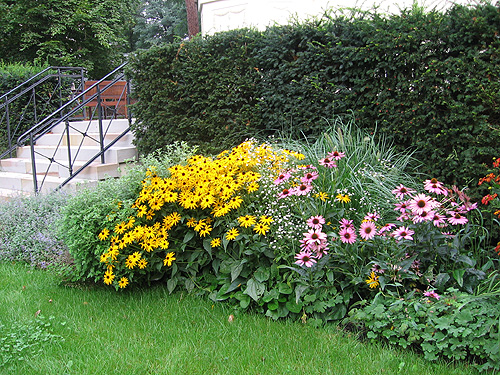 Stauden als Terrassenbegrenzung