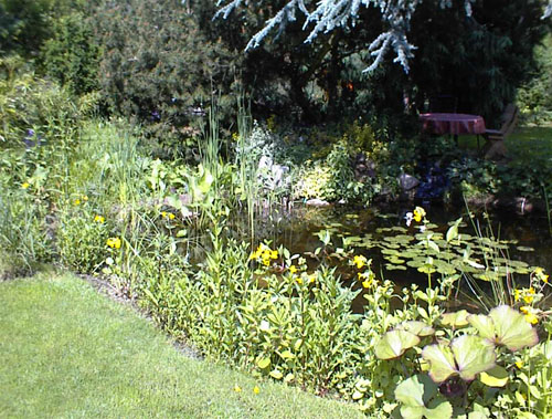 Gartenteich