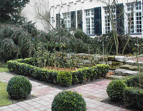 Wintergrne Bepflanzung