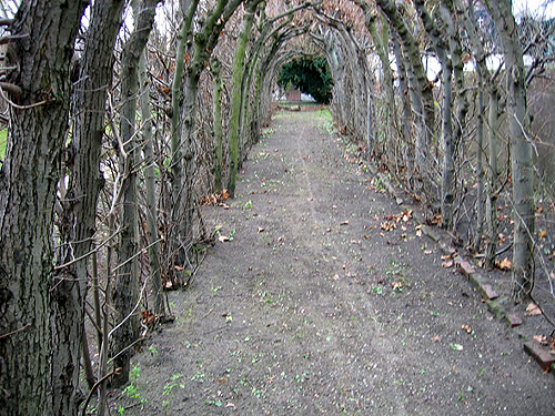 Großer Garten mit Allee